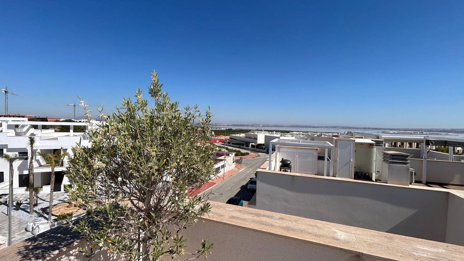 Nueva construcción  - Planta baja - Torrevieja