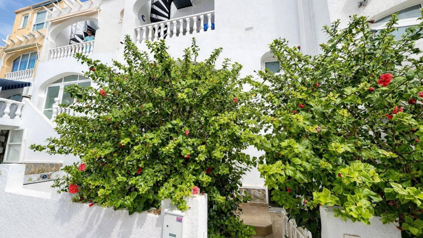 Odsprzedaż - Apartament - San Miguel de Salinas - Las Filipinas