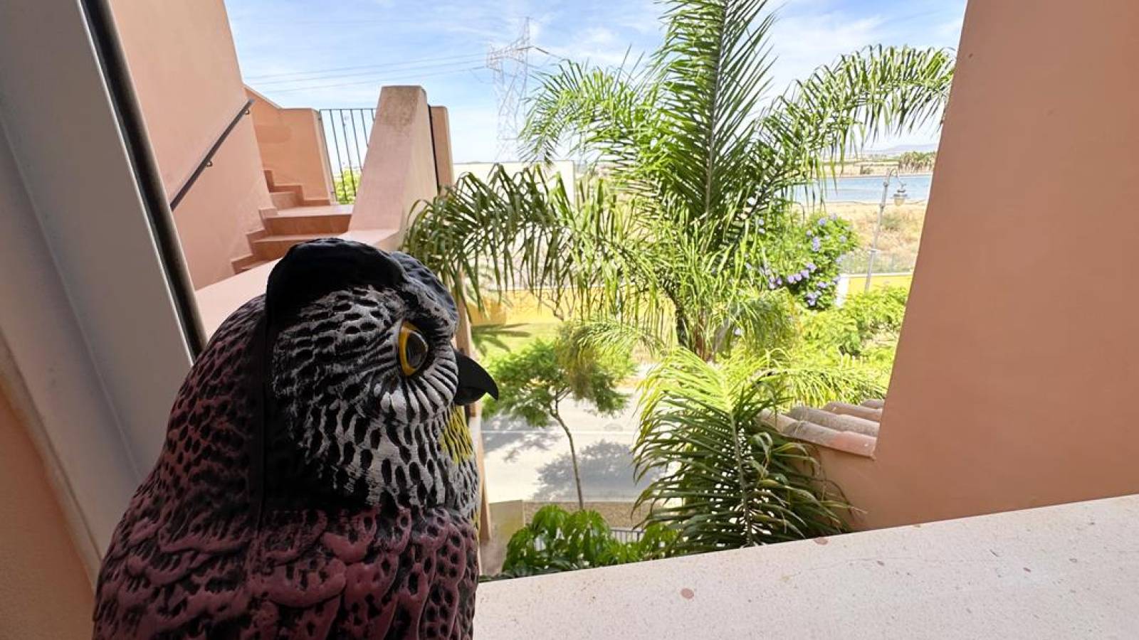 Odsprzedaż - Apartament - 