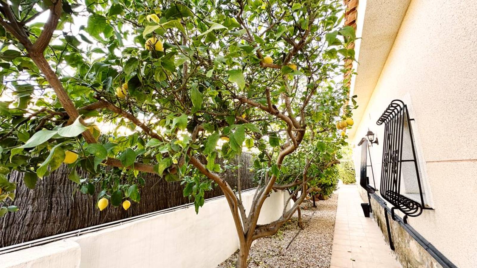 Odsprzedaż - Villa - 