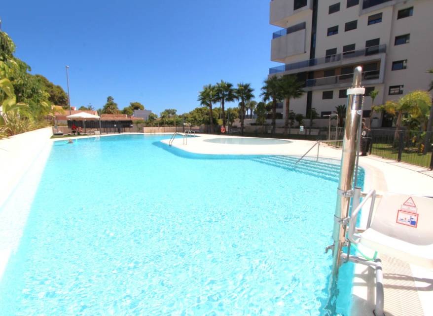Resale - Apartment - Dehesa de campoamor - Campoamor
