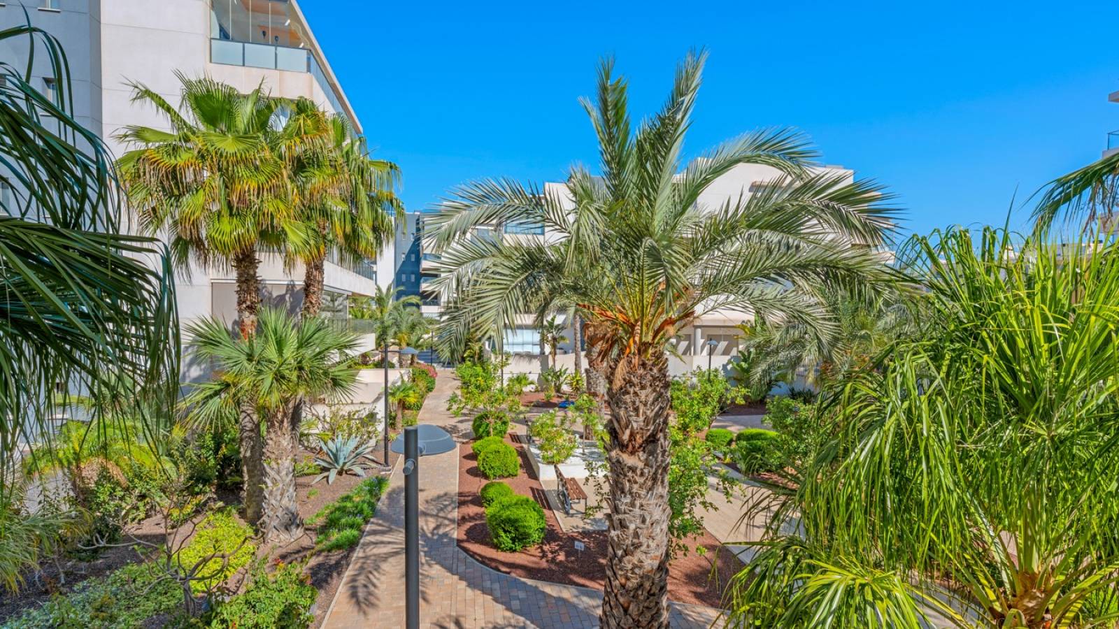 Resale - Apartment - Orihuela Costa - Los Dolses