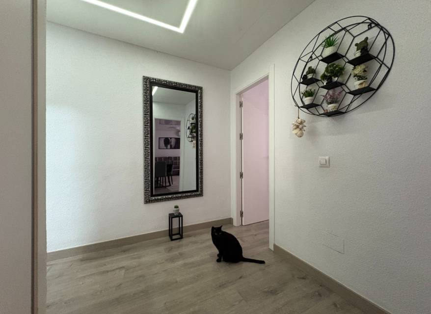 Resale - Apartment - Torrevieja - Centro