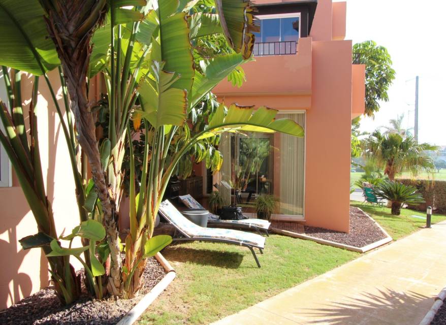 Resale - Ground floor - Torre Pacheco