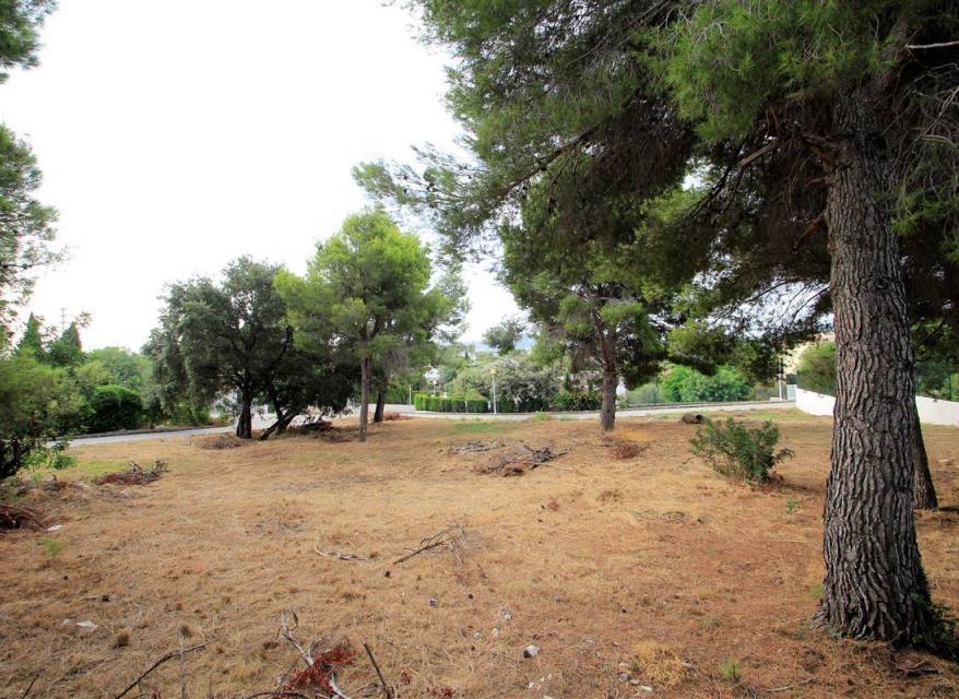 Resale - Plot - Javea/Xabia - Castellans