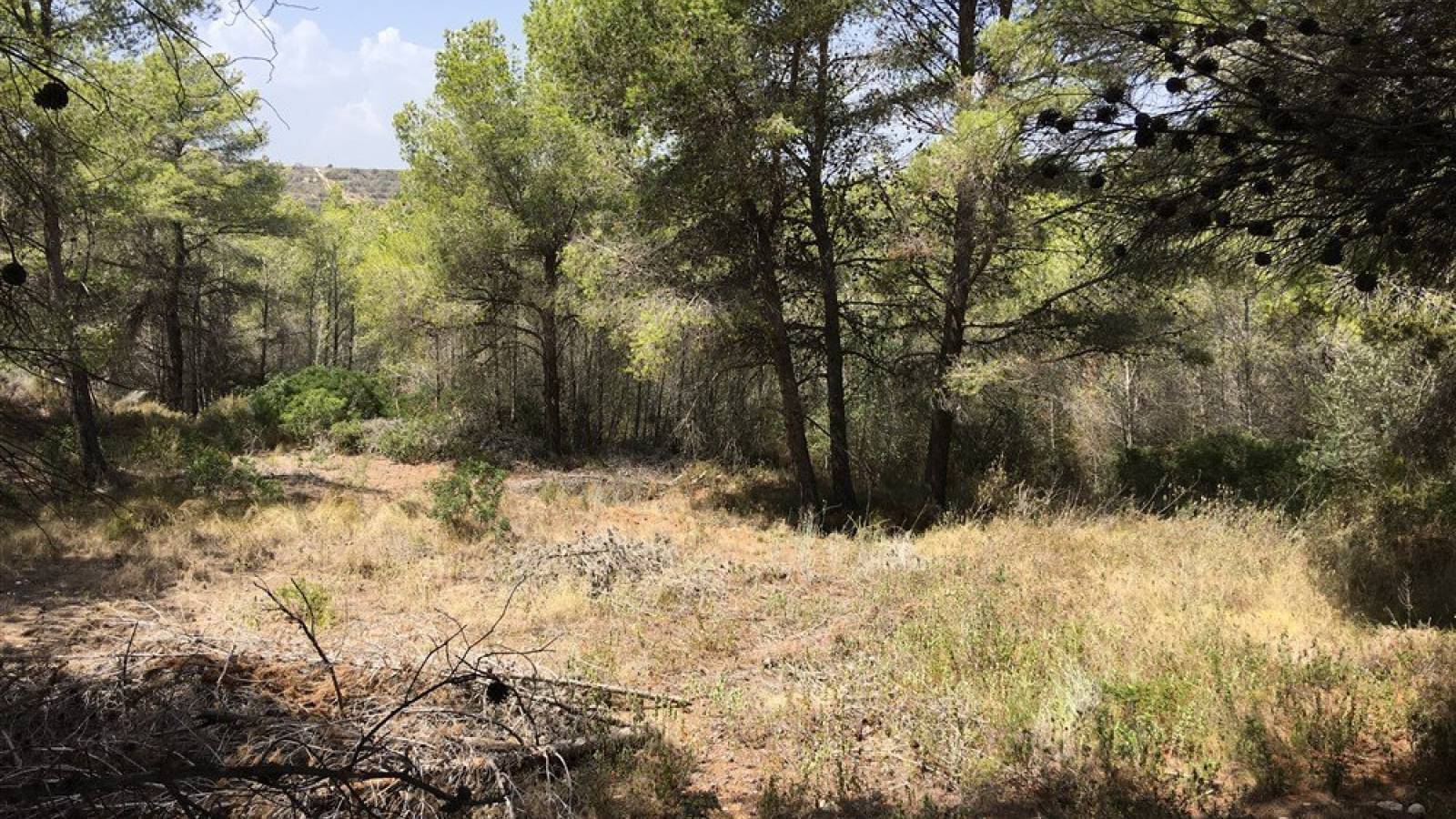 Resale - Plot - Moraira - Benimeit