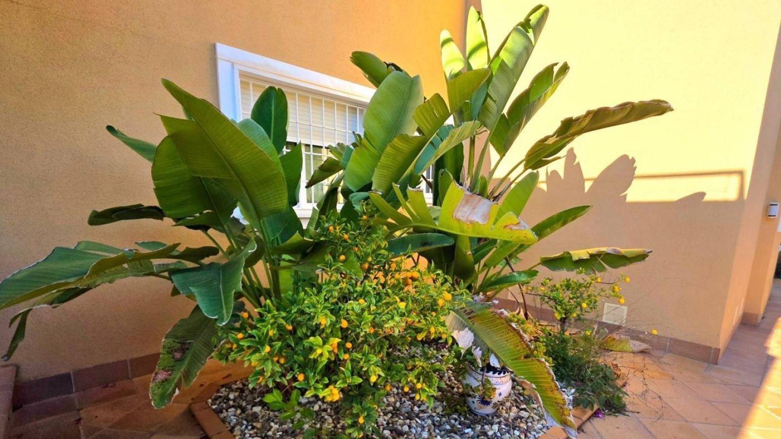 Resale - Villa - Dehesa de campoamor - Campoamor