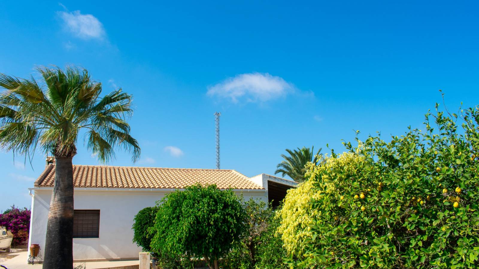 Resale - Villa - Guardamar del Segura - El Raso