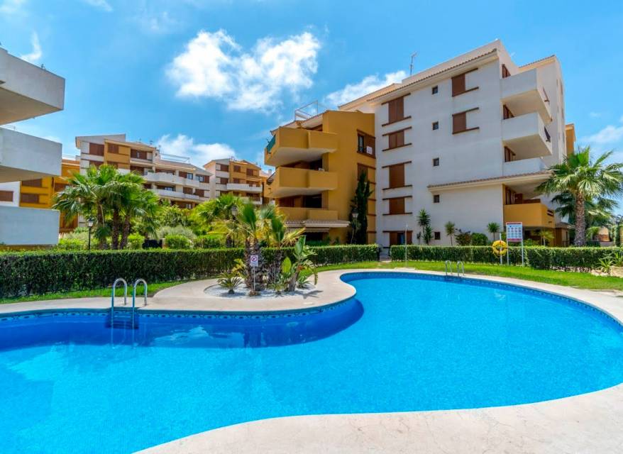 Revente - Appartement - Punta Prima