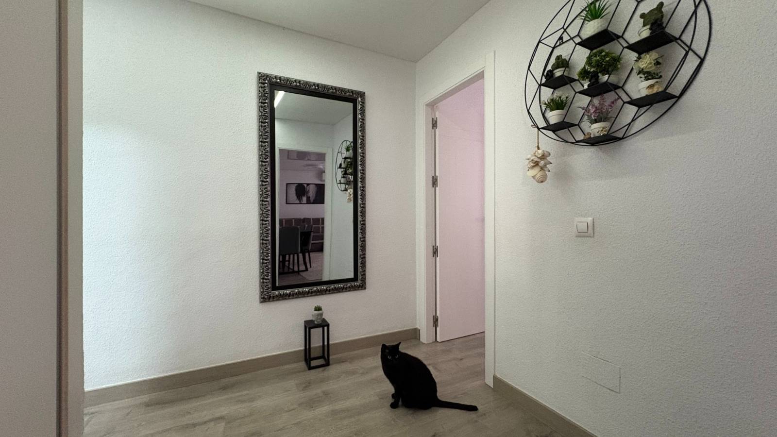 Revente - Appartement - Torrevieja - Centro