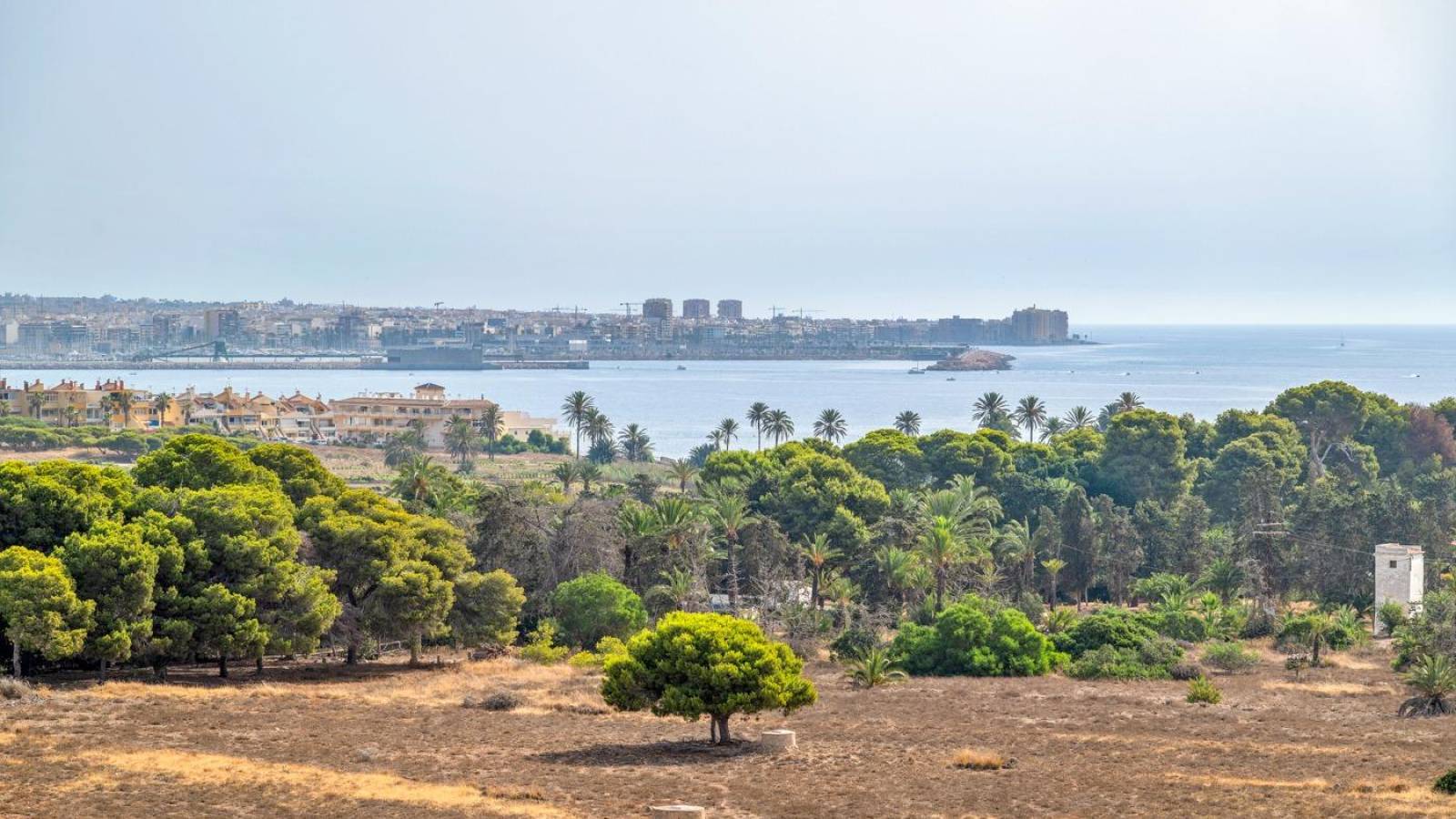 Revente - Appartement - Torrevieja - Punta Prima