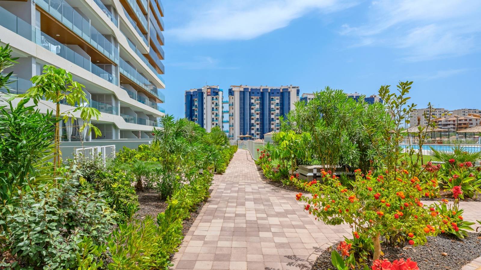 Venta - Apartamento - Orihuela Costa - Punta Prima