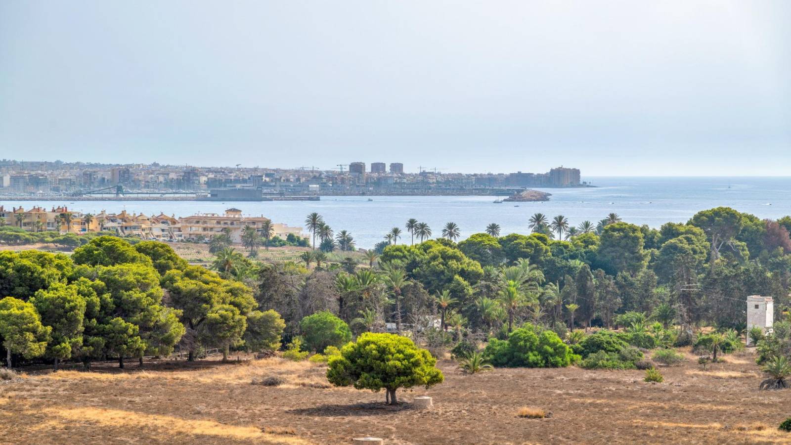 Venta - Apartamento - Torrevieja - Punta Prima