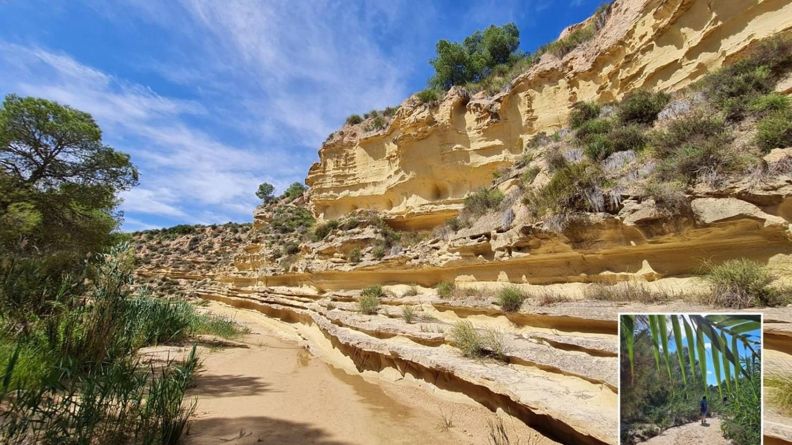 Venta - Atico - Pilar de la Horadada