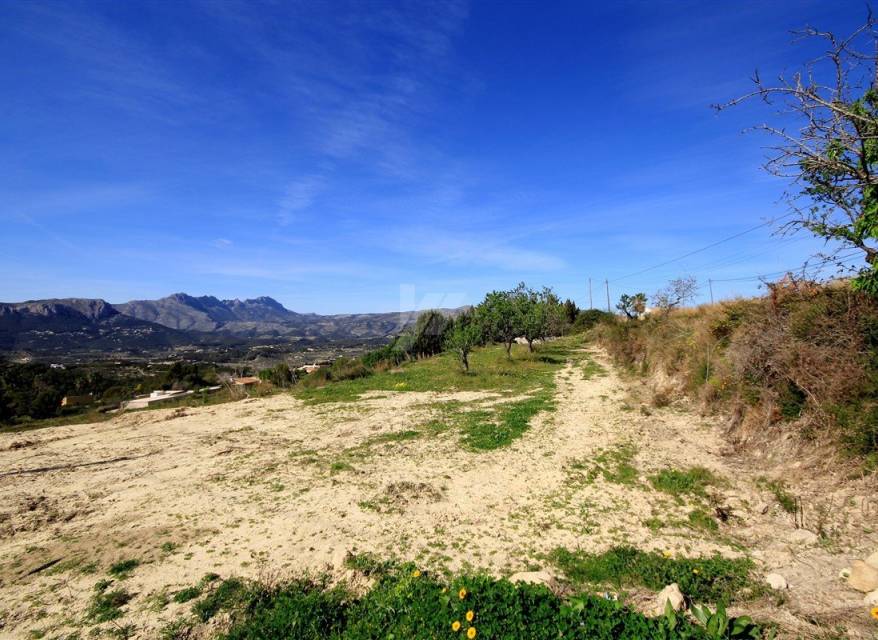 Venta - Parcela/Terreno - Benissa