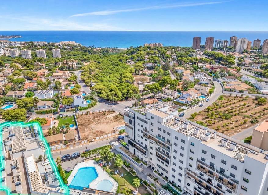 Wiederverkauf - Wohnung - Dehesa de campoamor - Campoamor