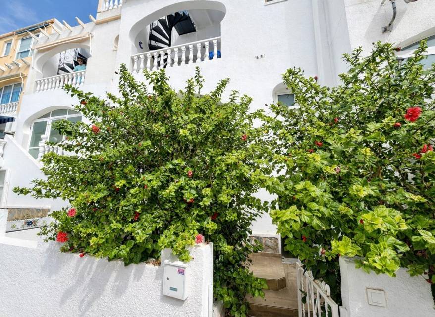 Wiederverkauf - Wohnung - San Miguel de Salinas - Las Filipinas