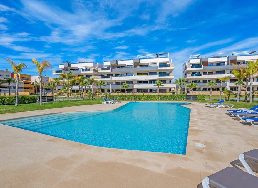 Wynajem długoterminowy - Apartament - Orihuela Costa - 
