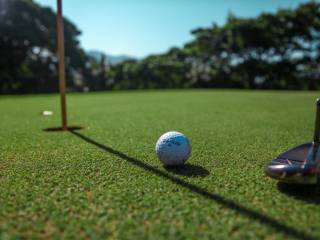 ALTAONA VILLAGE & GOLF