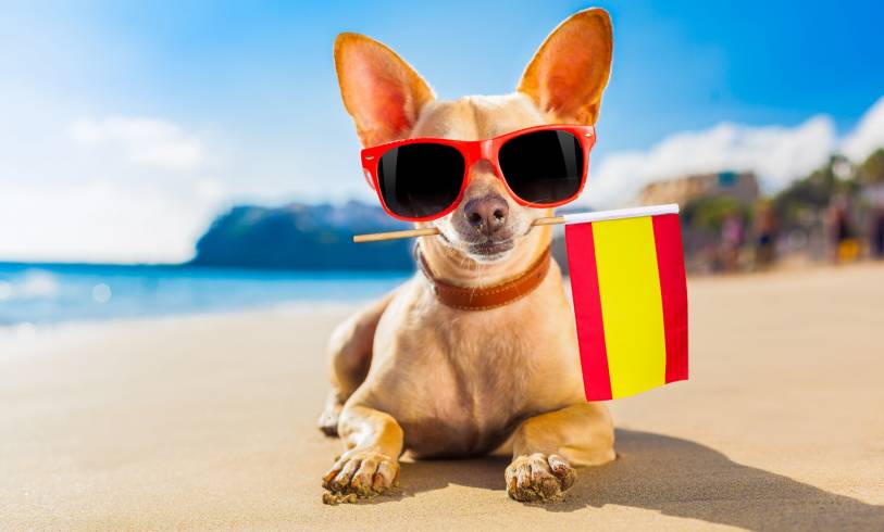 Op vakantie naar Spanje met je hond 