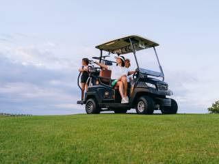 ALTAONA VILLAGE & GOLF