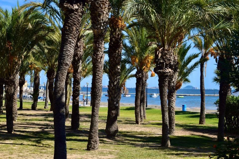 Ático en venta en Los Alcázares zona Los Alcazares